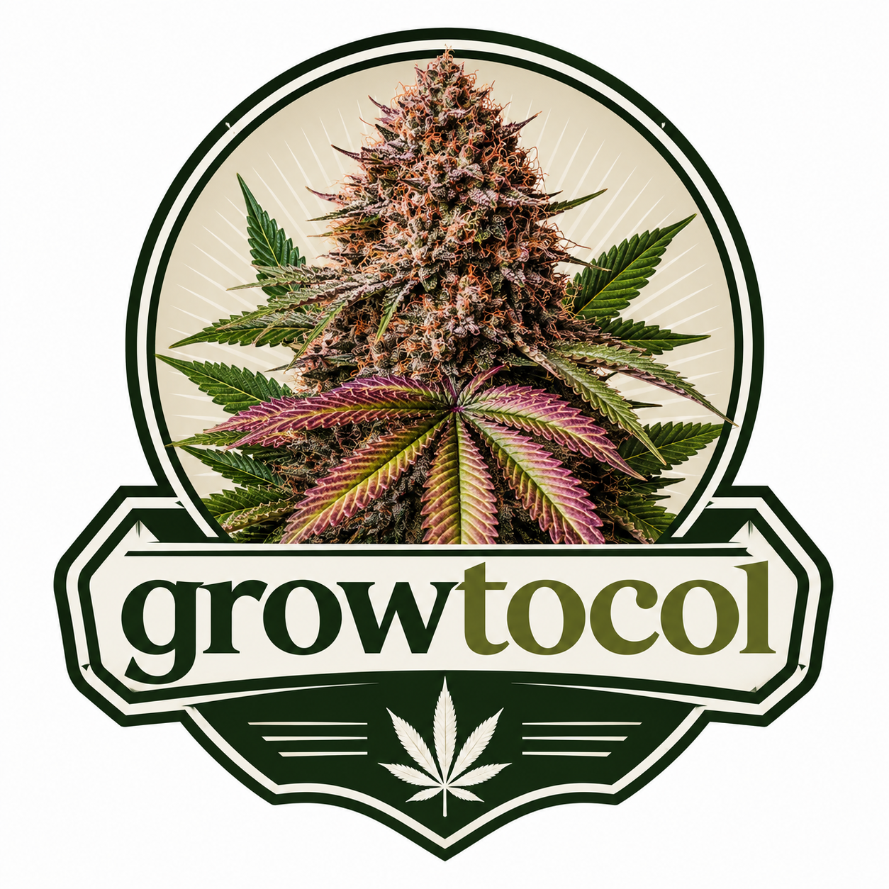 Growtocol